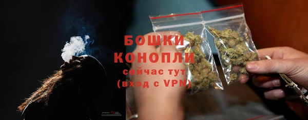 PSILOCYBIN Балабаново