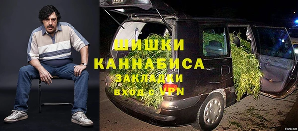 PSILOCYBIN Балабаново