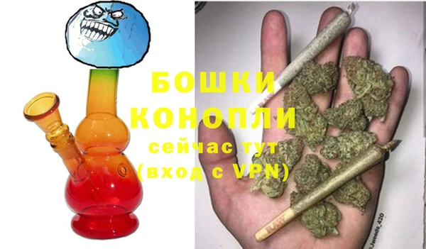 PSILOCYBIN Балабаново