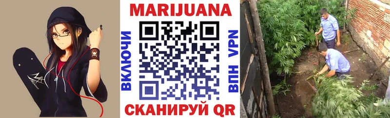Канабис индика  Фокино 